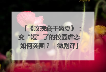 《玫瑰藏于盛夏》：变“短”了的校园虐恋如何突围？｜微剧评