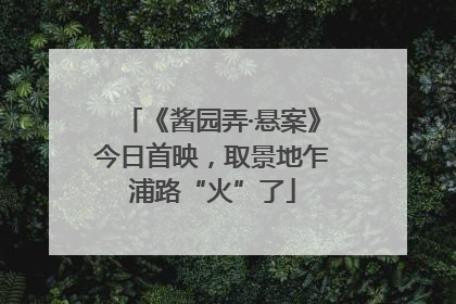 《酱园弄·悬案》今日首映，取景地乍浦路“火”了