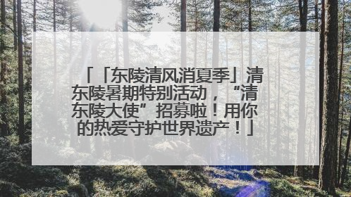 「东陵清风消夏季」清东陵暑期特别活动，“清东陵大使”招募啦！用你的热爱守护世界遗产！
