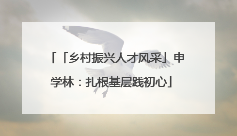 「乡村振兴人才风采」申学林：扎根基层践初心