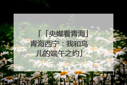 「央媒看青海」青海西宁：我和鸟儿的端午之约