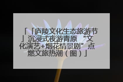 「庐陵文化生态旅游节」沉浸式夜游青原 “文化演艺+烟花情景剧”点燃文旅热潮（图）