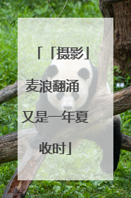 「摄影」麦浪翻涌 又是一年夏收时