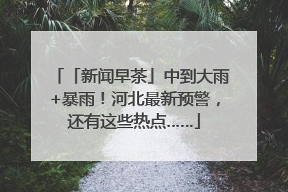 「新闻早茶」中到大雨+暴雨！河北最新预警，还有这些热点……