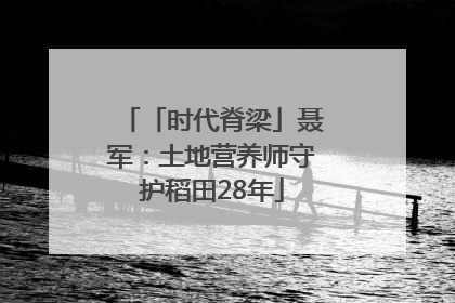 「时代脊梁」聂军：土地营养师守护稻田28年