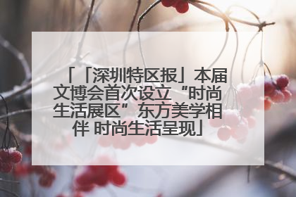 「深圳特区报」本届文博会首次设立“时尚生活展区”东方美学相伴 时尚生活呈现