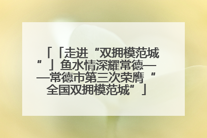 「走进“双拥模范城”」鱼水情深耀常德——常德市第三次荣膺“全国双拥模范城”
