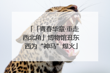 「青春华章·重走西北角」博物馆丑东西为“神马”爆火