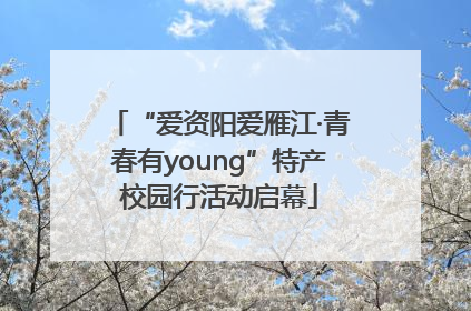 “爱资阳爱雁江·青春有young”特产校园行活动启幕