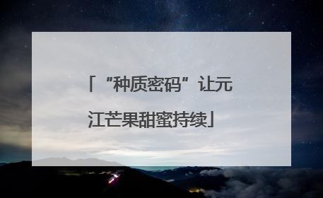 “种质密码”让元江芒果甜蜜持续