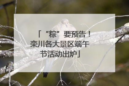 “粽”要预告！栾川各大景区端午节活动出炉