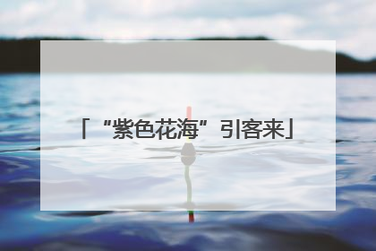 “紫色花海”引客来