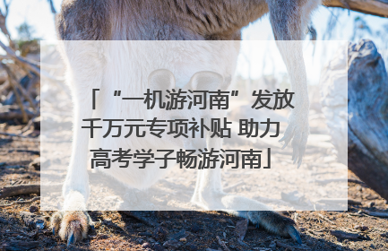 “一机游河南”发放千万元专项补贴 助力高考学子畅游河南