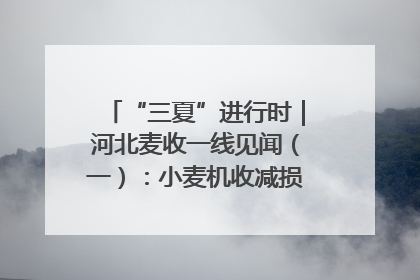 “三夏”进行时｜河北麦收一线见闻（一）：小麦机收减损“竞技” 农机高手麦田“过招”