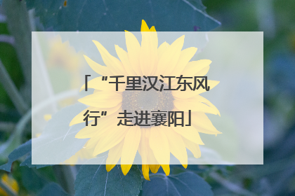 “千里汉江东风行”走进襄阳