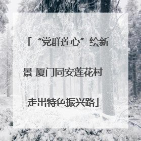 “党群莲心”绘新景 厦门同安莲花村走出特色振兴路