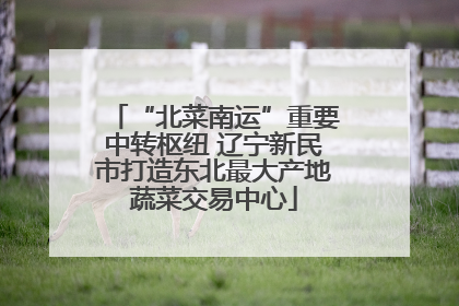 “北菜南运”重要中转枢纽 辽宁新民市打造东北最大产地蔬菜交易中心