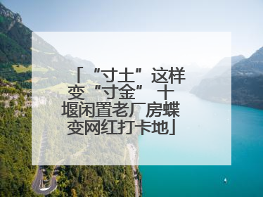 “寸土”这样变“寸金” 十堰闲置老厂房蝶变网红打卡地