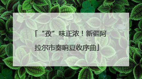 “孜”味正浓！新疆阿拉尔市奏响夏收序曲
