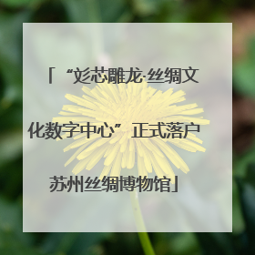 “彣芯雕龙·丝绸文化数字中心”正式落户苏州丝绸博物馆