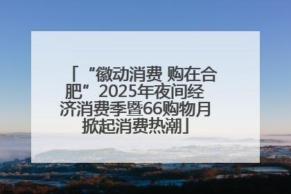 “徽动消费 购在合肥”2025年夜间经济消费季暨66购物月掀起消费热潮