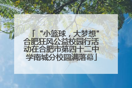 “小篮球，大梦想”合肥狂风公益校园行活动在合肥市第四十二中学南城分校圆满落幕