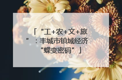 “工+农+文+旅”：丰城市镇域经济“蝶变密码”