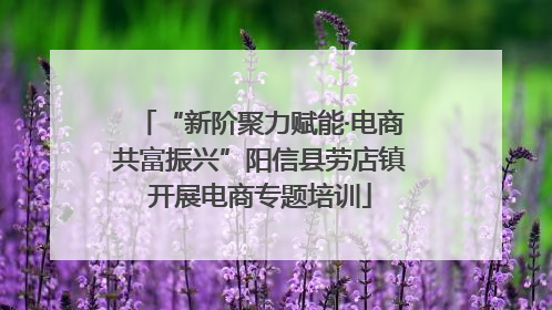 “新阶聚力赋能·电商共富振兴”阳信县劳店镇开展电商专题培训