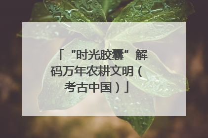 “时光胶囊”解码万年农耕文明（考古中国）