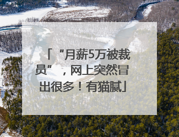 “月薪5万被裁员”，网上突然冒出很多！有猫腻