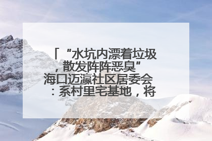 “水坑内漂着垃圾，散发阵阵恶臭” 海口迈瀛社区居委会：系村里宅基地，将派人打捞垃圾