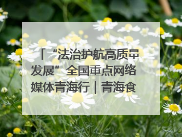 “法治护航高质量发展”全国重点网络媒体青海行｜青海食品工业协会：架起“青字号”美食的产业化桥梁