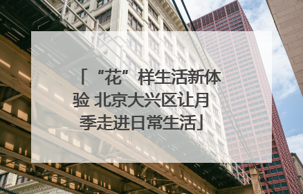 “花”样生活新体验 北京大兴区让月季走进日常生活