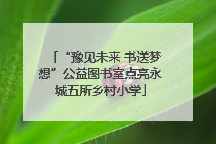 “豫见未来 书送梦想”公益图书室点亮永城五所乡村小学