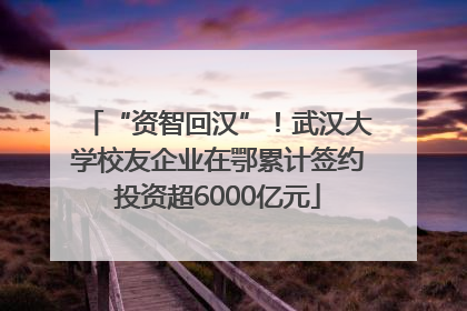 “资智回汉”！武汉大学校友企业在鄂累计签约投资超6000亿元