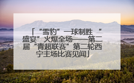 “雪豹”一球制胜 “盛宴”火爆全场——第二届“青超联赛”第二轮西宁主场比赛见闻