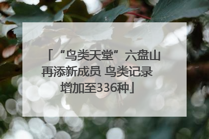 “鸟类天堂”六盘山再添新成员 鸟类记录增加至336种