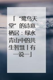 “鹭鸟天堂”的诗意栖居：绿水青山中的共生智慧丨有一说一