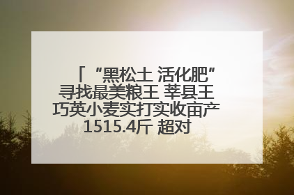 “黑松土 活化肥”寻找最美粮王 莘县王巧英小麦实打实收亩产1515.4斤 超对照田144斤！