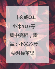 玄戒O1、小米YU7等集中亮相，雷军：小米芯片要对标苹果