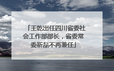 王乾出任四川省委社会工作部部长，省委常委靳磊不再兼任