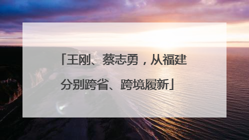 王刚、蔡志勇，从福建分别跨省、跨境履新