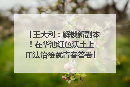 王大利：解锁新副本！在华池红色沃土上 用法治绘就青春答卷