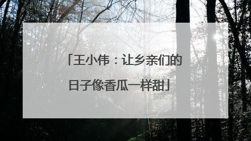 王小伟：让乡亲们的日子像香瓜一样甜