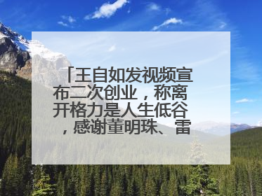王自如发视频宣布二次创业，称离开格力是人生低谷，感谢董明珠、雷军，还回应了“工资条”：清楚自己要什么……