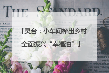 灵台：小车间榨出乡村全面振兴“幸福油”
