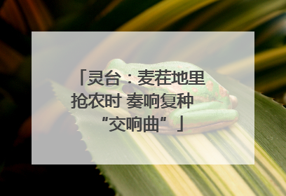 灵台：麦茬地里抢农时 奏响复种“交响曲”