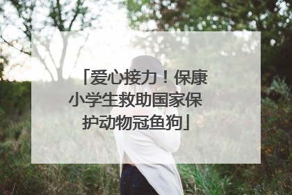 爱心接力！保康小学生救助国家保护动物冠鱼狗