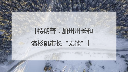 特朗普：加州州长和洛杉矶市长“无能”