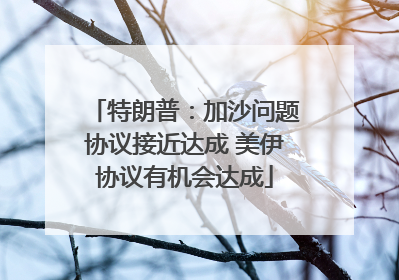 特朗普：加沙问题协议接近达成 美伊协议有机会达成
